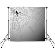 Spiderweb Background Backdrops 18301222