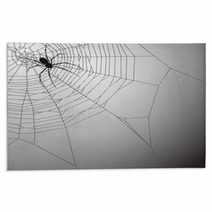 Spiderweb Background Rugs 18301222