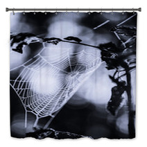 Spiderweb In Forest In Black And White Bath Decor 70345504