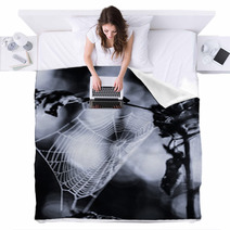 Spiderweb In Forest In Black And White Blankets 70345504