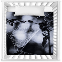 Spiderweb In Forest In Black And White Nursery Decor 70345504