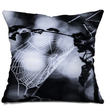Spiderweb In Forest In Black And White Pillows 70345504