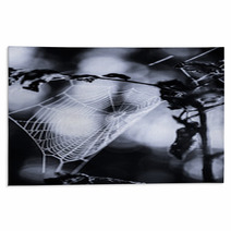 Spiderweb In Forest In Black And White Rugs 70345504
