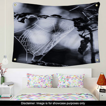 Spiderweb In Forest In Black And White Wall Art 70345504