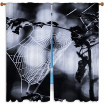 Spiderweb In Forest In Black And White Window Curtains 70345504