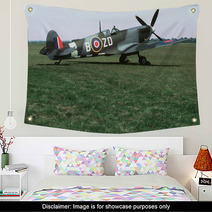 Spitfire Parked On Grass Wall Art 1287591