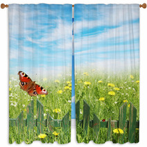 Spring Background, Grass And Wooden Fence Window Curtains 60712419