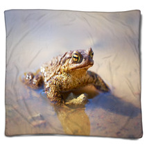 Spring Brown Frog Blankets 64846467