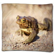 Spring Brown Frog Blankets 64846468
