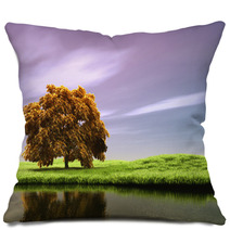 Spring Landscape Pillows 63709098
