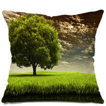 Spring Landscape Pillows 63919330