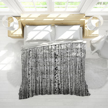 Spring Trunks Of Birch Trees Black And White Bedding 64287061