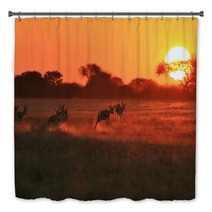 Springbok Antelope - Golden Sunset Wildlife Silhouettes Bath Decor 92949635