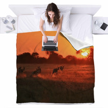 Springbok Antelope - Golden Sunset Wildlife Silhouettes Blankets 92949635