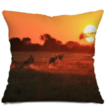 Springbok Antelope - Golden Sunset Wildlife Silhouettes Pillows 92949635
