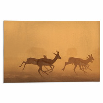 Springbok Antelope - Golden Sunset Wildlife Silhouettes Rugs 92948743