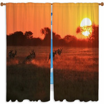 Springbok Antelope - Golden Sunset Wildlife Silhouettes Window Curtains 92949635