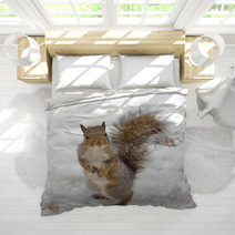 Squirrel Bedding 74352490