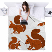Squirrel Blankets 78830089
