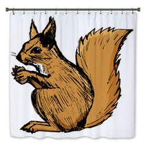 Squirrel, Illustration Of Wildlife, Zoo, Wildlife, Animal Of For Bath Decor 100846065