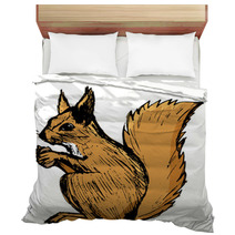 Squirrel, Illustration Of Wildlife, Zoo, Wildlife, Animal Of For Bedding 100846065