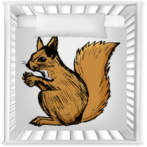 Squirrel, Illustration Of Wildlife, Zoo, Wildlife, Animal Of For Nursery Decor 100846065