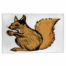 Squirrel, Illustration Of Wildlife, Zoo, Wildlife, Animal Of For Rugs 100846065