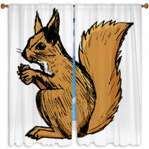 Squirrel, Illustration Of Wildlife, Zoo, Wildlife, Animal Of For Window Curtains 100846065