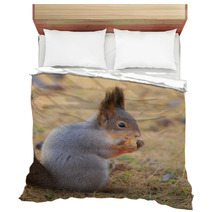 Squirrel In Autumn Closeup Bedding 100506064