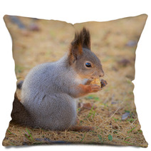 Squirrel In Autumn Closeup Pillows 100506064