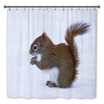 Squirrel In Winter Bath Decor 78669374