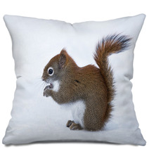 Squirrel In Winter Pillows 78669374