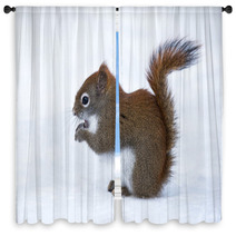 Squirrel In Winter Window Curtains 78669374