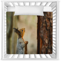 Squirrel Looking Up The Tree Nursery Decor 82914188
