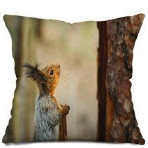 Squirrel Looking Up The Tree Pillows 82914188
