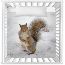 Squirrel Nursery Decor 74352490