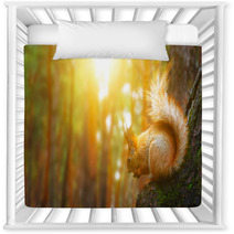 Squirrel Nursery Decor 78968468