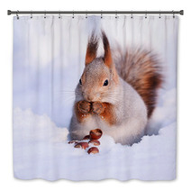 Squirrel On The Snow Bath Decor 74535272