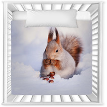 Squirrel On The Snow Nursery Decor 74535272