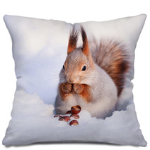 Squirrel On The Snow Pillows 74535272
