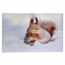 Squirrel On The Snow Rugs 74535272