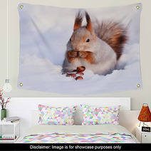 Squirrel On The Snow Wall Art 74535272