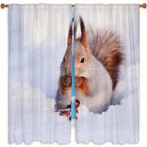 Squirrel On The Snow Window Curtains 74535272