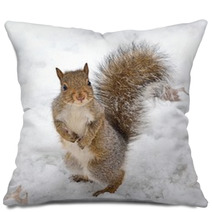 Squirrel Pillows 74352490