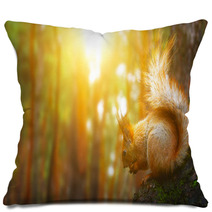 Squirrel Pillows 78968468