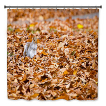 Squirrel Walking On Leaves In Autumn Bath Decor 74504822