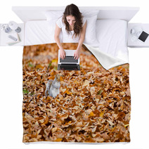 Squirrel Walking On Leaves In Autumn Blankets 74504822