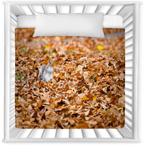 Squirrel Walking On Leaves In Autumn Nursery Decor 74504822