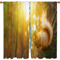 Squirrel Window Curtains 78968468