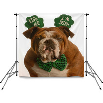 St. Patricks Day - Bulldog Wearing Kiss Me Im Irish Headband Backdrops 11952327